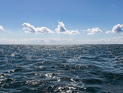 251111_Die Ostsee im Visier-min