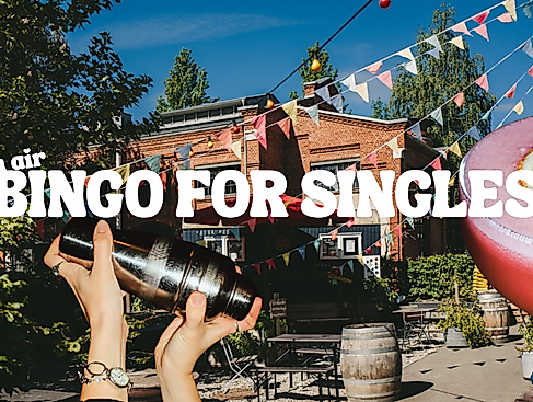 bingo-for-singles