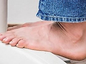 26-02-26 Happy Feet pixabay