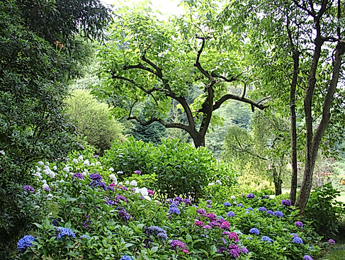 Kunstspaziergang im Park