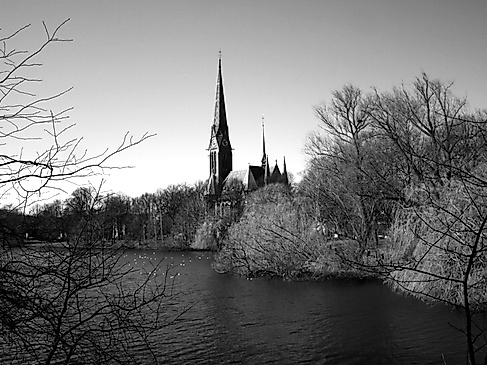 gertrud_c-olleaugust_pixabay_3237844