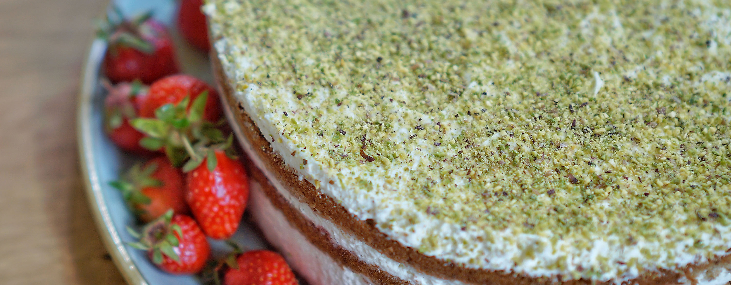 The Special Connection