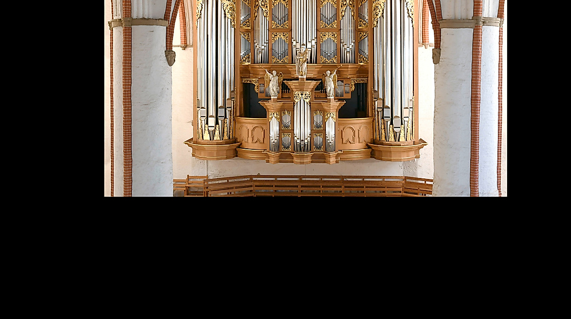 Arp-Schnitger-Orgel