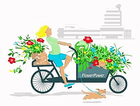 26-09-20 Pflanzenflohmarkt Stadt Ahrensburg