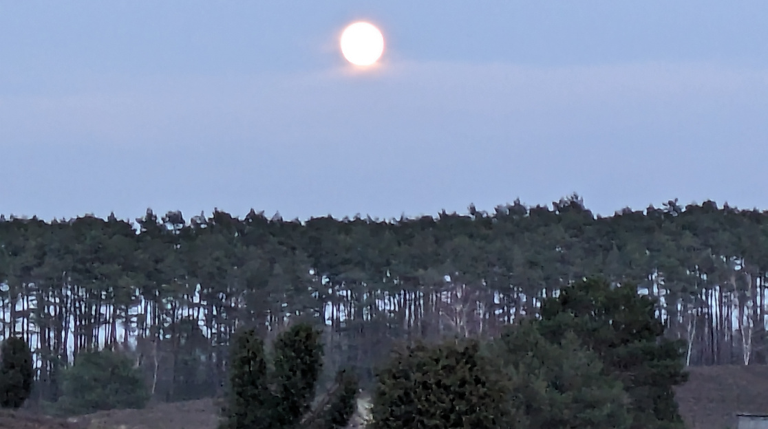 Vollmond über der Heide
