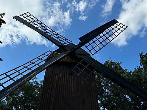 IMG_9725