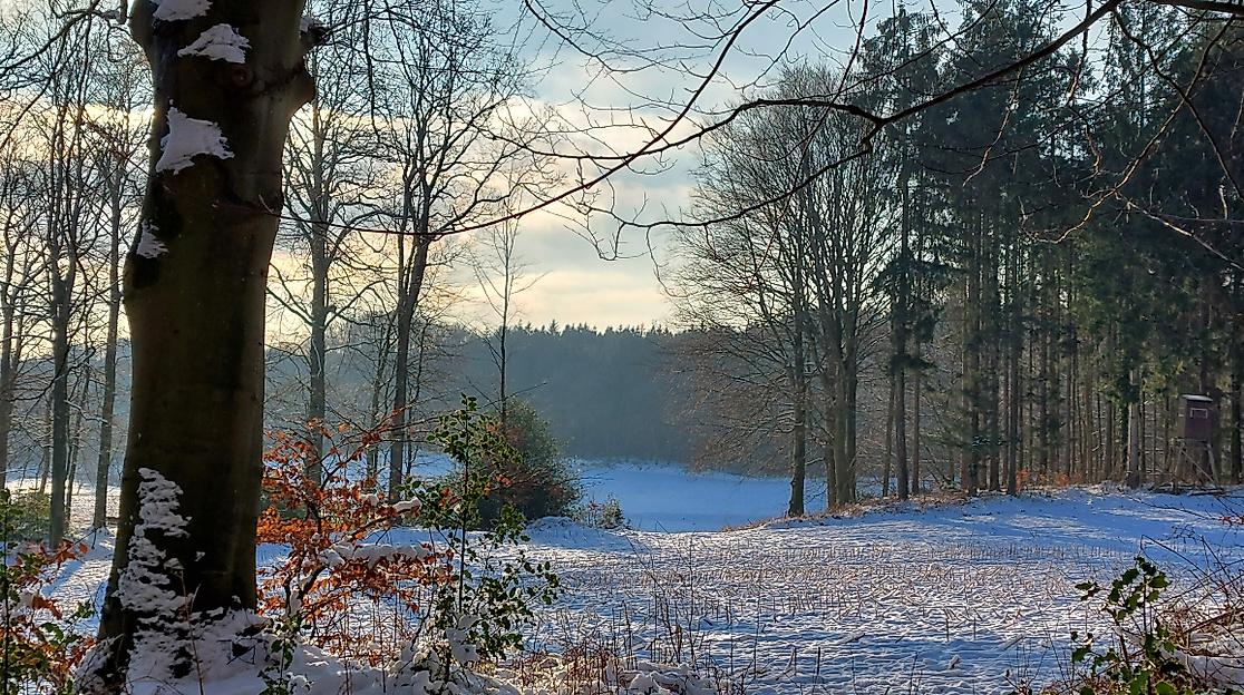 Vom Eise befreit