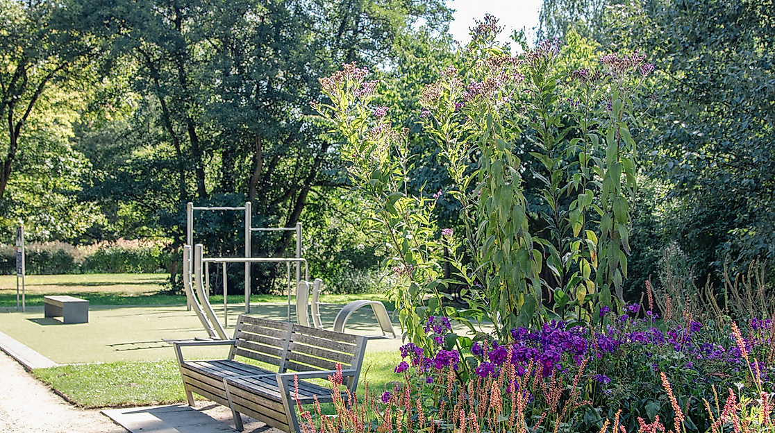 Bewegungsinsel Marlene Hoberger