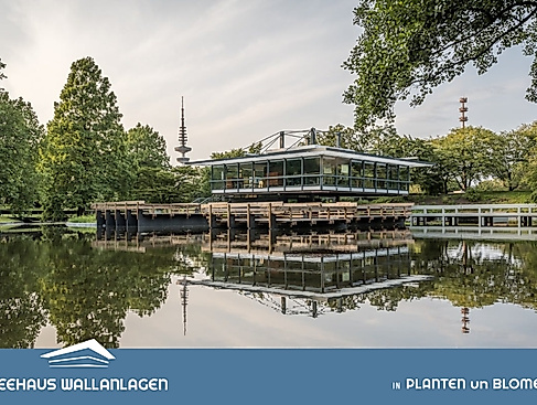 Bildschirmfoto_24-9-2025_141227_www.canva.com