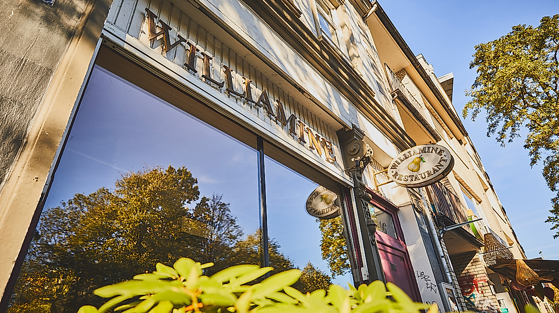 williamine_c-2018-thisisjulia-photography-2