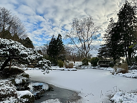 teaser wintervorträge-1225-640x361