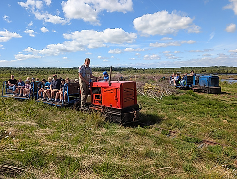 Besuchergruppe im Moor