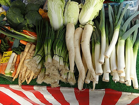 Wochenmarkt Hechthausen