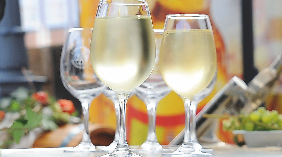 Wein-Erlebnistour