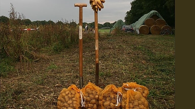 25-09-06 Kartoffelernte für Familien Hofgut Wulfsdorf