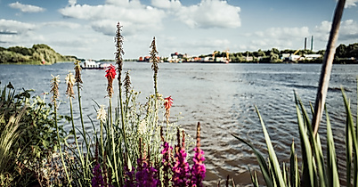 entenwerder_hhlal_c-2017-geheimtipp-hamburg-12