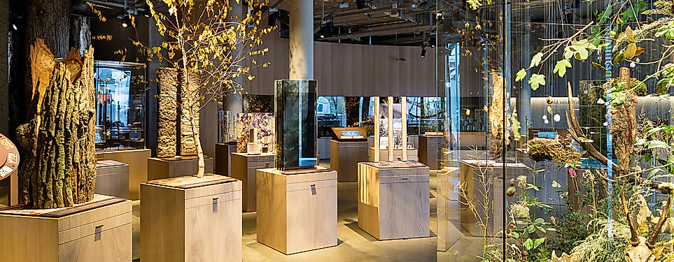 Science Center im Wälderhaus