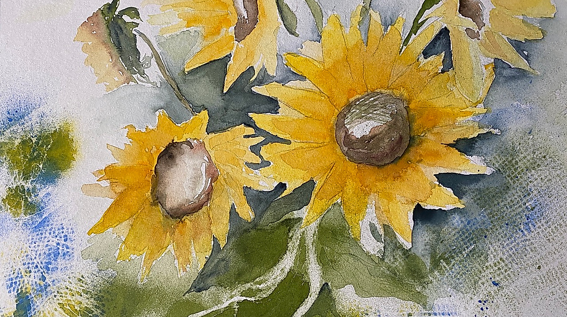Sonnenblumen