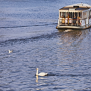 Alsterrundfahrt