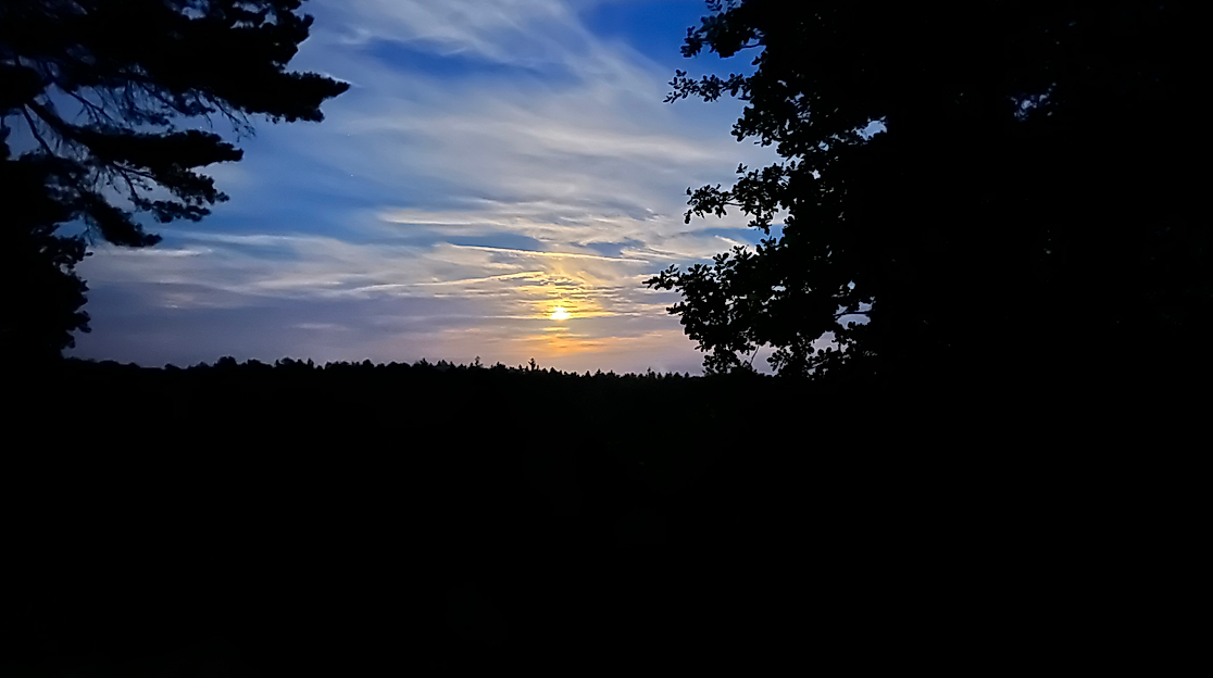 Vollmondwanderung auf dem Heidschnuckenweg - Borsteler Schweiz