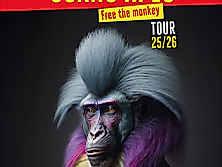 Guano Apes - Free The Monkey Tour 25/26