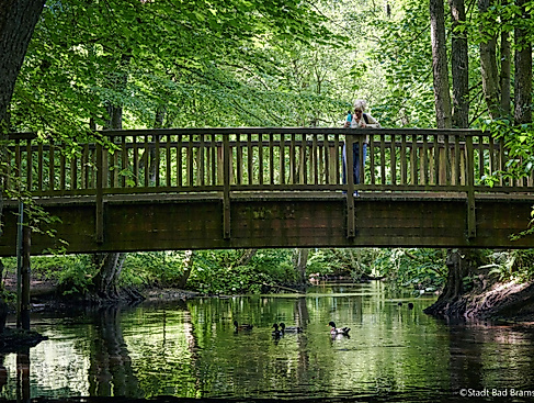 Waldführung Bad Bramstedt
