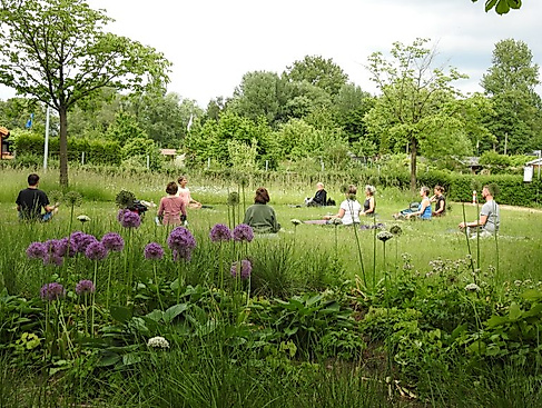 Yoga im Inselpark_ParkSportInsel e.V.