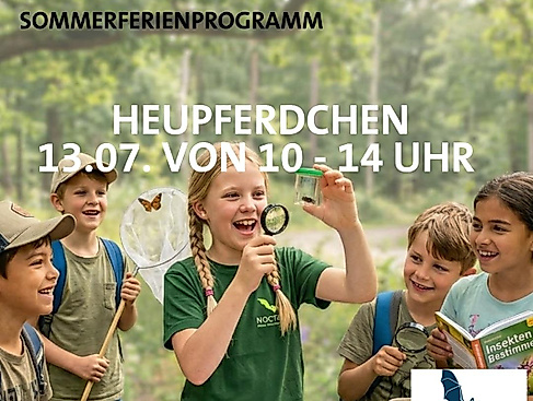 Heupferdchen