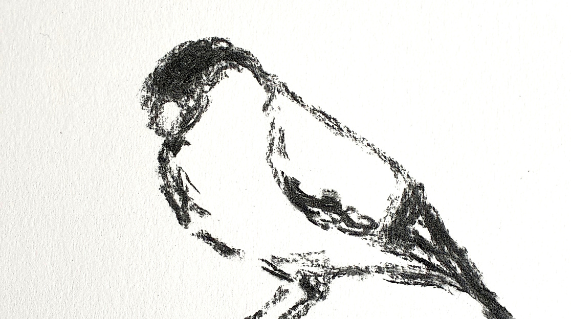 bird, 2026