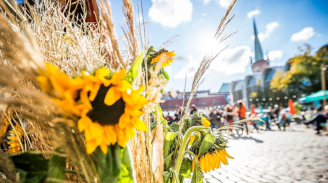 POPUP LÜBECK meets Erntedank
