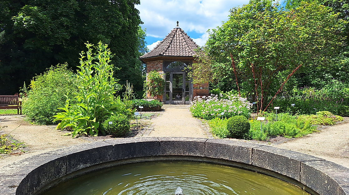 Kräuterseife selbst herstellen