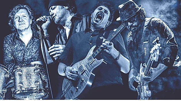 The Hamburg Blues Band