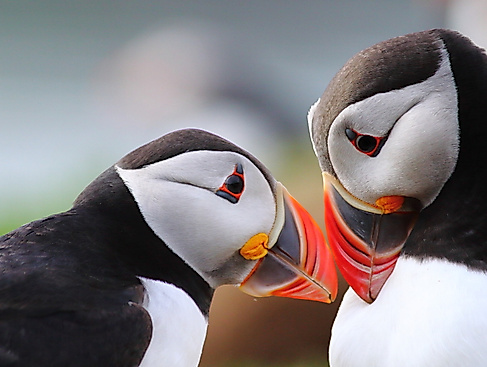 Wales - Spirit of the Dragon