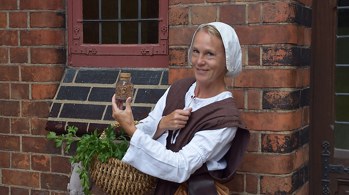 Von Seuchen, Salben und Scharlatanen