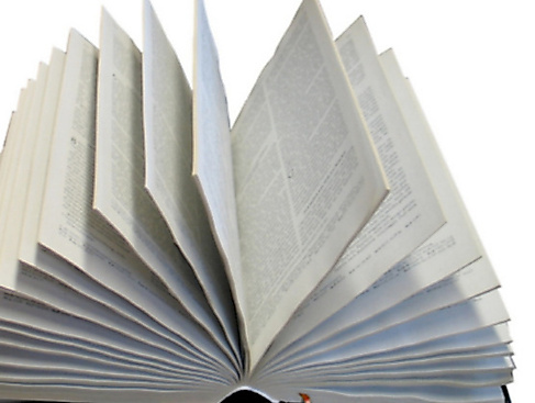 Gespräch zu biblischen Themen