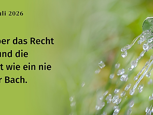 Gottesdienst am 5. Sonntag nach Trinitatis