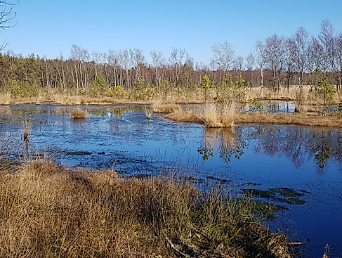 2019februarmk_2