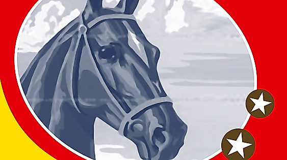 Ponderosa Flyer, q-tipp