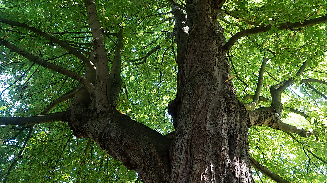 cuxhaven NATURESPONSE®