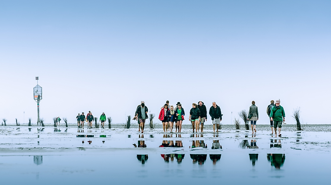 20130520-2013-05-27-ndl-528_top_sm