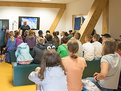 Dieses Jahr muss es klappen – eine aufregende Zugvogelgeschichte in bewegten Bildern