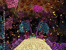Die Chemie des Lebens - Das Unsichtbare in uns 3D