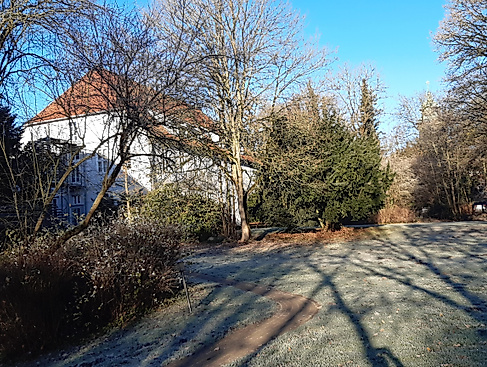 Frost im GSI November, F. GSI (44) klein