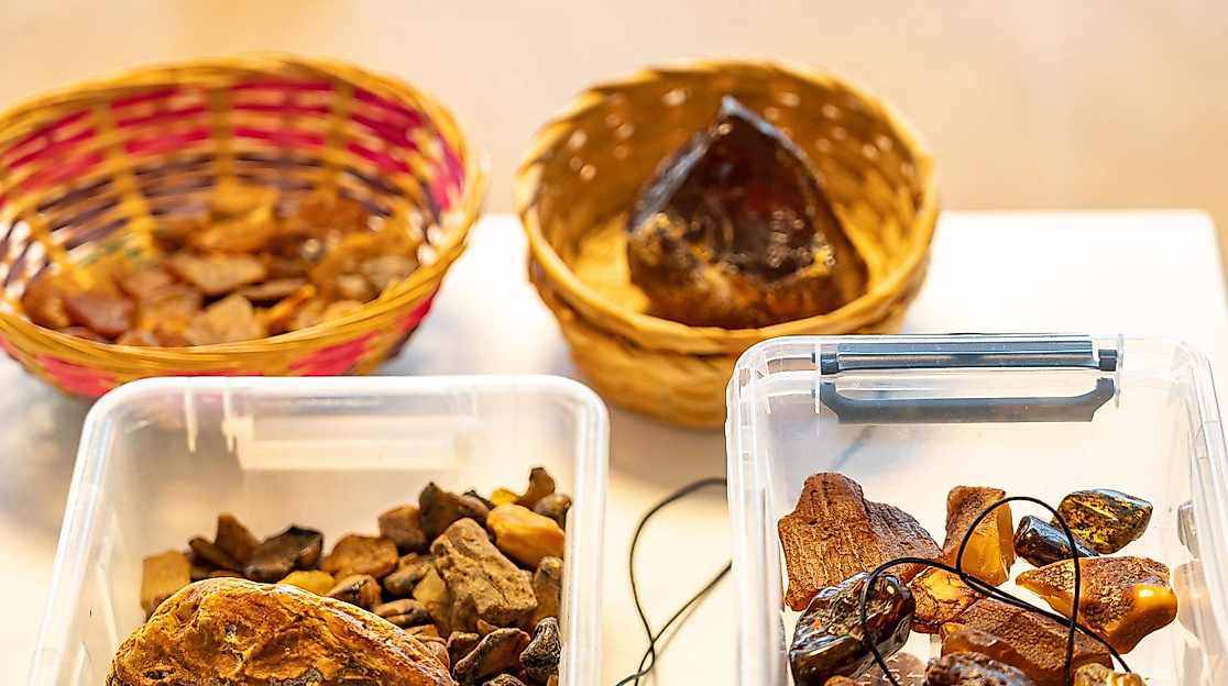 Workshop: Bernsteinschleifen