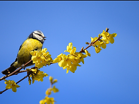 Gottesdienst im Olendeel