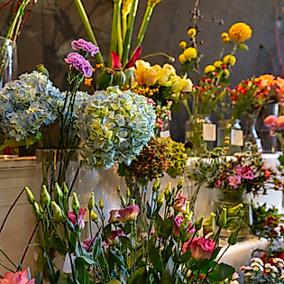 Vielfältige Auswahl frischer Schnittblumen in einem Hamburger Blumenladen, arrangiert in Vasen und Eimern