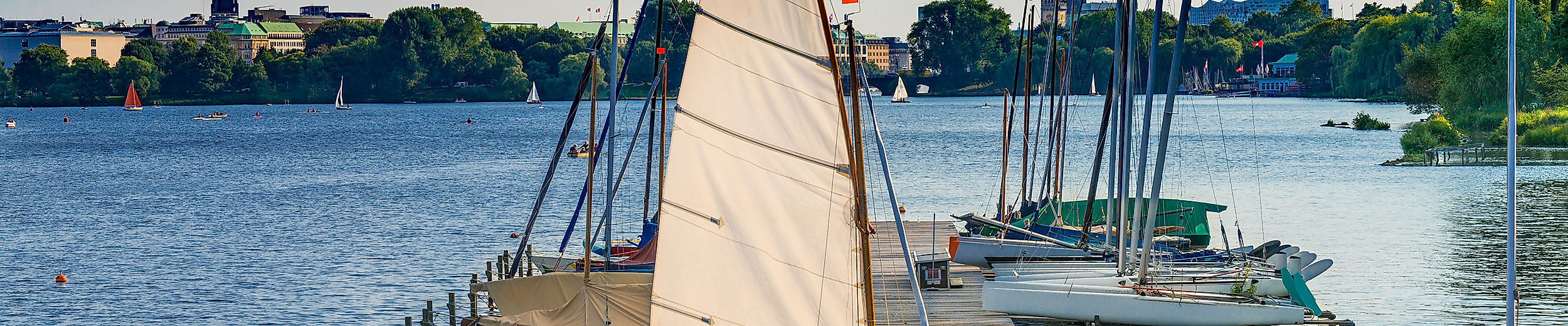 Erlebe Skandinavien in Hamburg