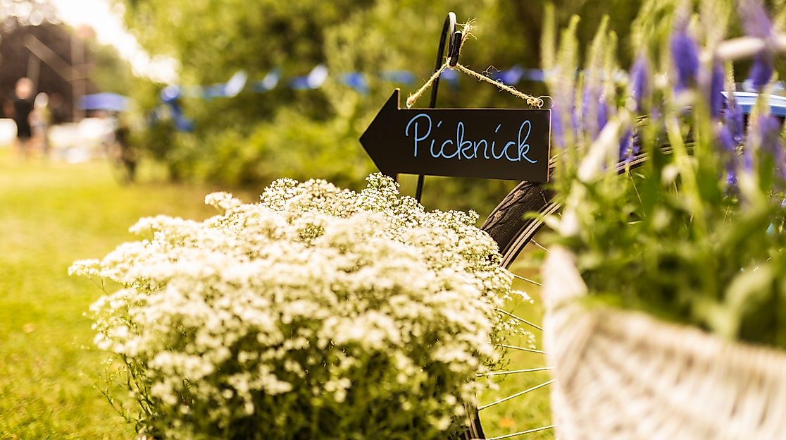 Picknick "Malente macht blau"