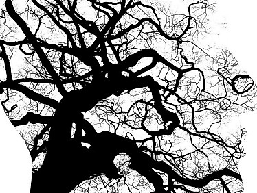 Gottesdienst für Menschen mit dementieller Erkrankung + Angehörige