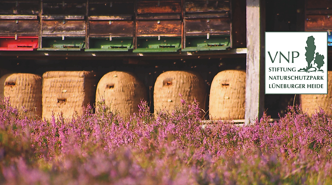 Heide-Erlebnis-Tage: Landwirtschaft